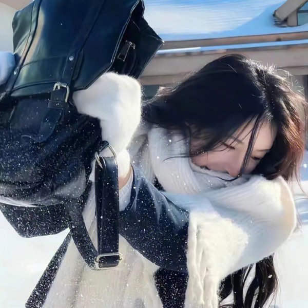 侯府夫人变王妃